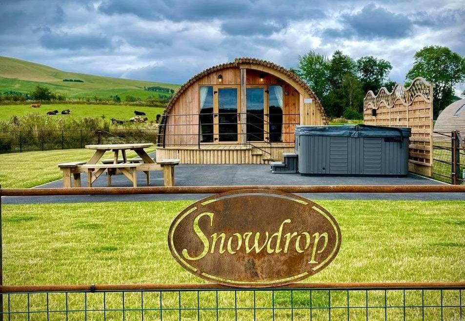 St Harmon House | Snowdrop