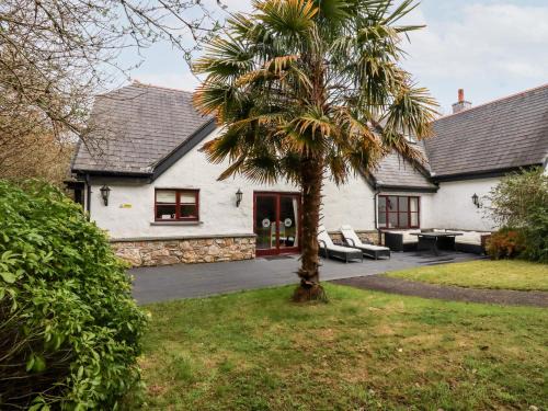 St Wenn House | Snowdrop