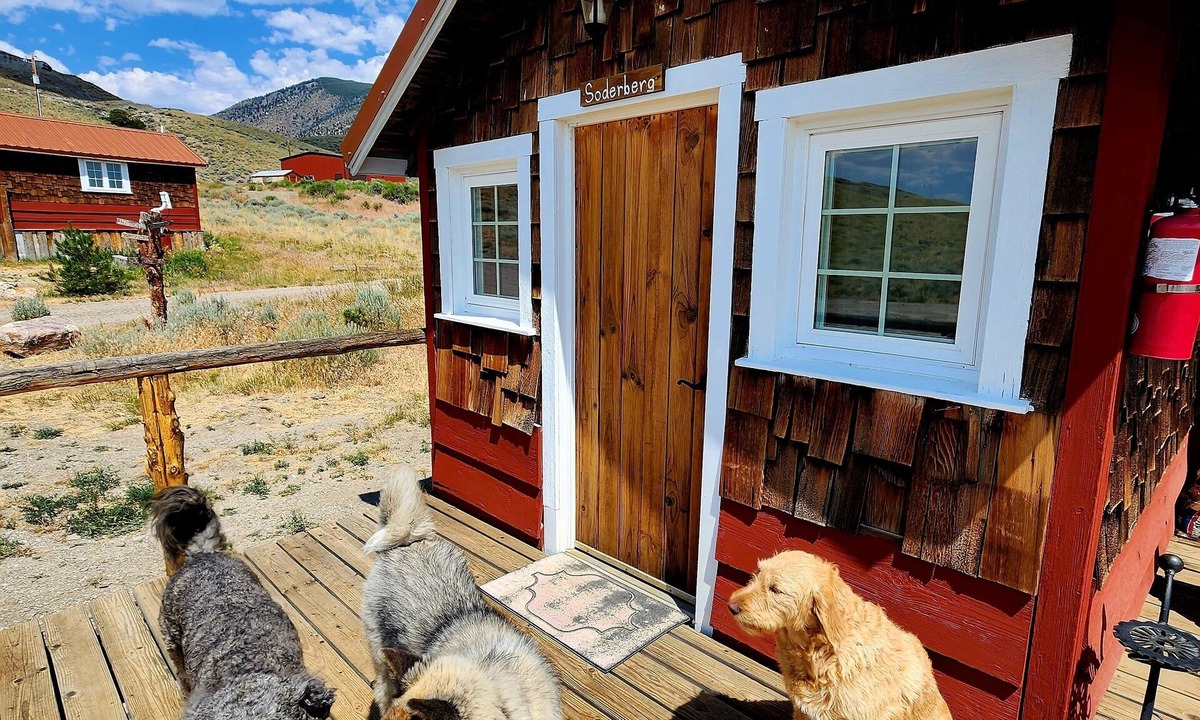 Cody Cabin | Soderberg cozy rustic cabin 5 min from Cody