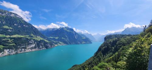 Ruetli Apartment | SoloHike MountainView