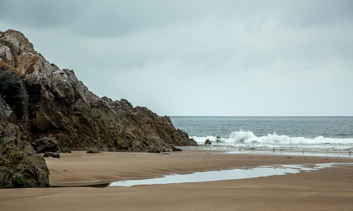 Mumbles Bed & Breakfast | Somerfield Lodge