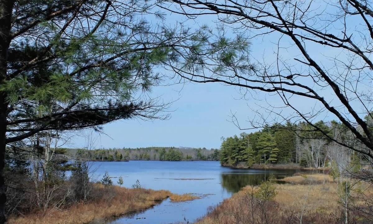 Mount Desert House | Somes Pond Charming Waterfront Cottage