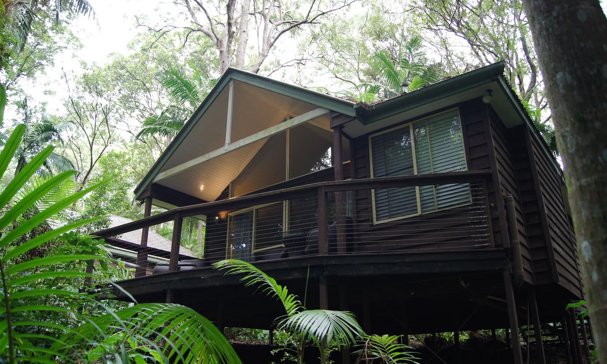North Tamborine Cabin | Songbirds Rainforest Retreat