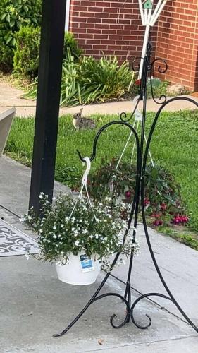 Washington House | Sonnys place