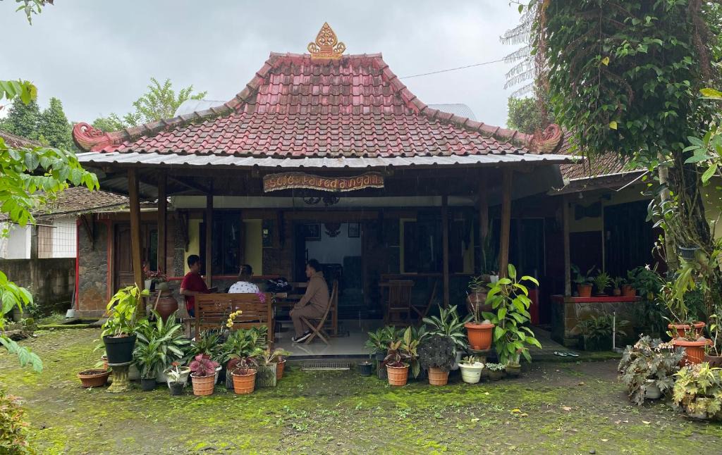 Ngemplak House | Sopo Guesthouse