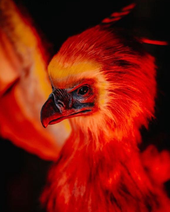 Le Bon Sauveur Apartment | Sorcier Magique & Expérience Immersive