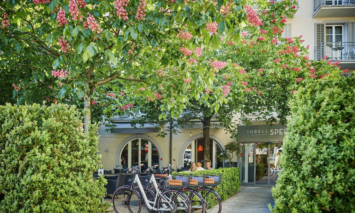 Rapperswil Hotel | Sorell Boutique-Hotel Speer Rapperswil