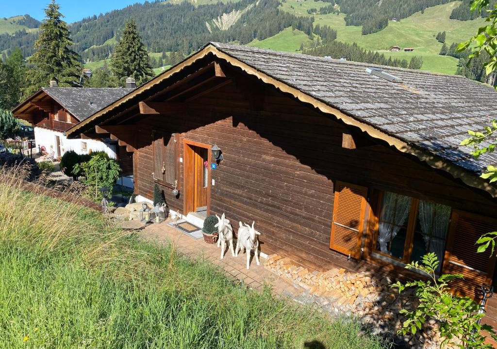 Schwarzsee Apartment | Sorgenfrei