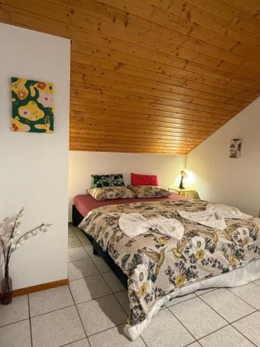 Chatel-Saint Denis Apartment | Soso Studio Cosy