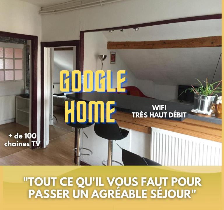 Clermont-Ferrand Apartment | Sous Les TOITS ARVERNE