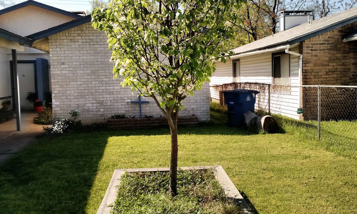Parker Lane House | South Austin friendly