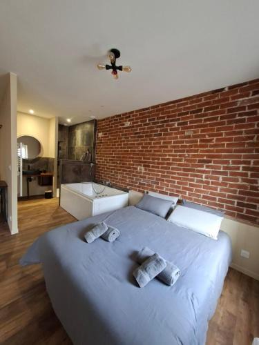 Feurs Apartment | Spa d'Assier