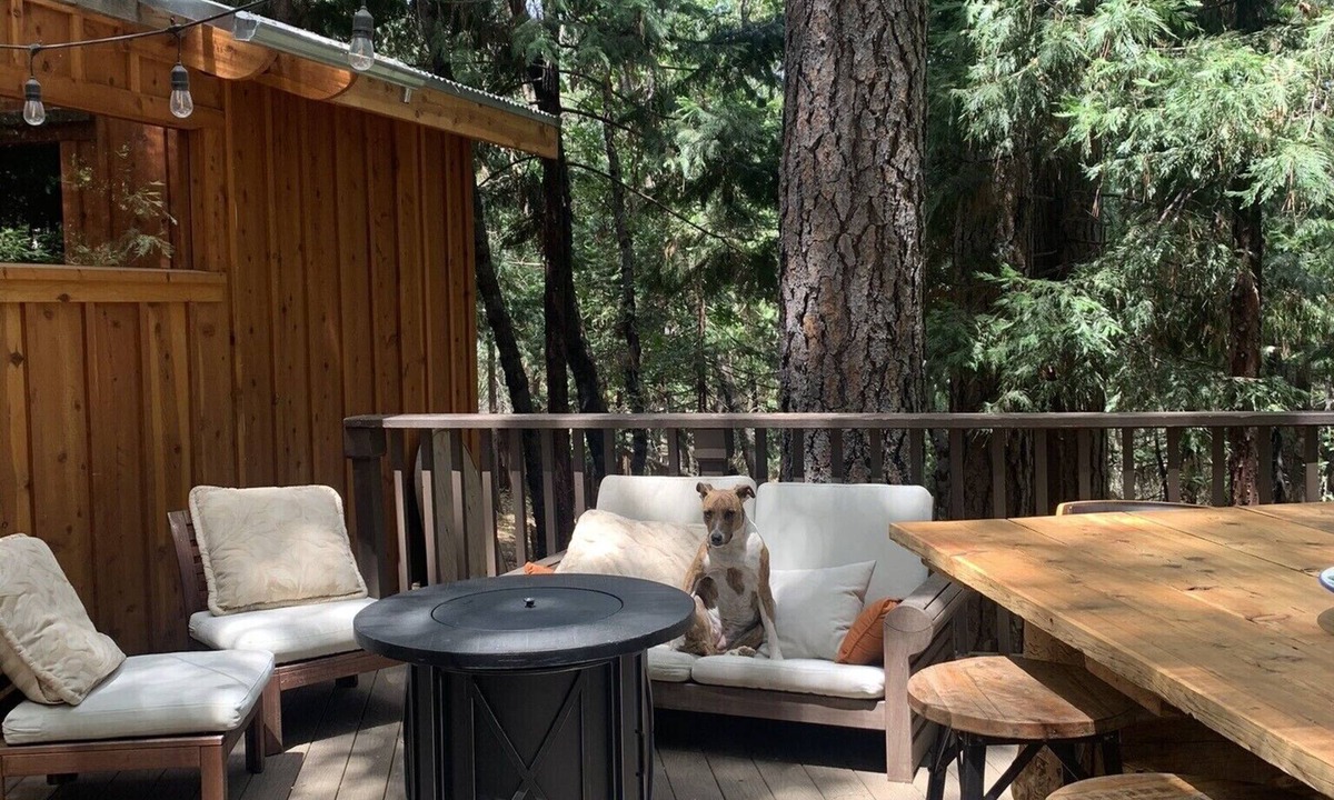 Rough and Ready Cottage | Spa getaway forest cottage