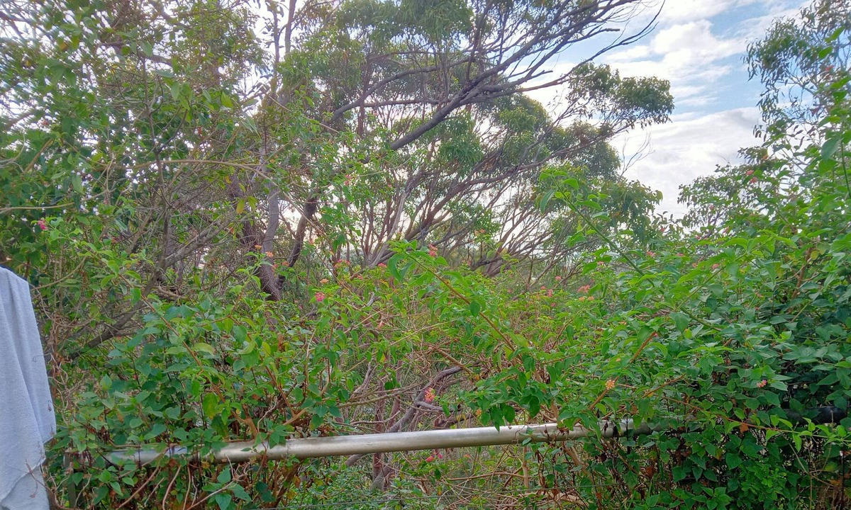 Brookvale House | Space Lover