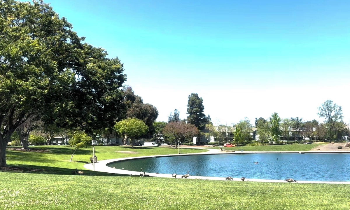 Sunnyvale Villa | Spacious 3 BR 2B House Sunnyvale Park