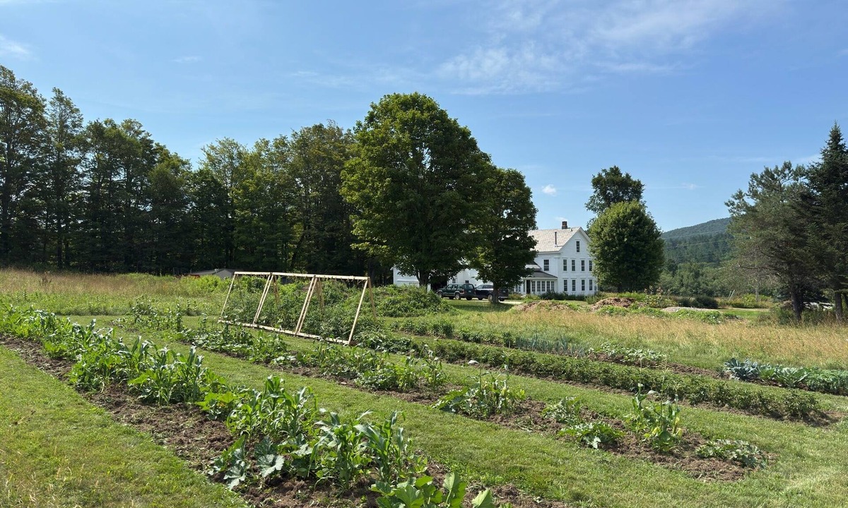 Belmont Other | Spacious 6-Bedroom Farmhouse with Stunning Mountain Views