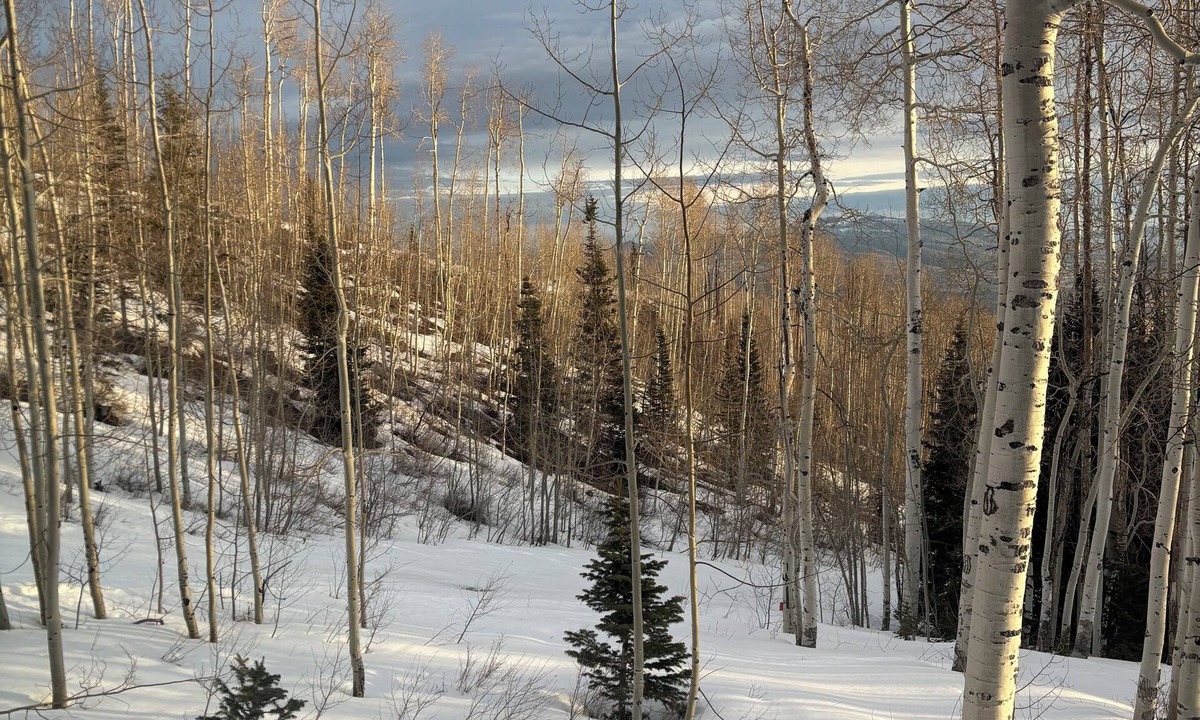 Park City House | Spacious 6-bedroom ski-in/out estate in The Colony in Park City with gym & pool