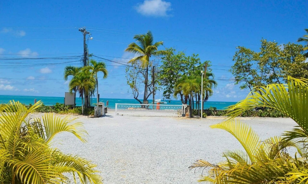 Las Terrenas Condo | Spacious and Beautiful Beach Condo