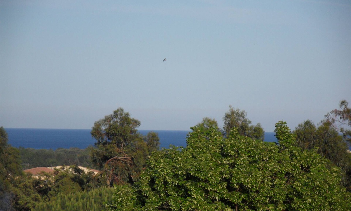 Folelli Villa | Spacious apartment in lower villa