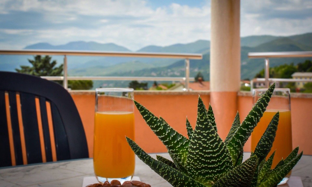 Cikovici Apartment | Spacious Apartment Adriana with the sea and mountain view