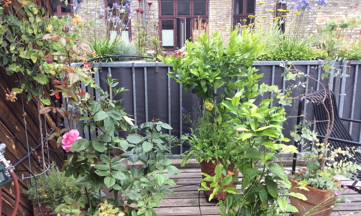 København V Apartment | Spacious apartment in the ❤️ of Copenhagen