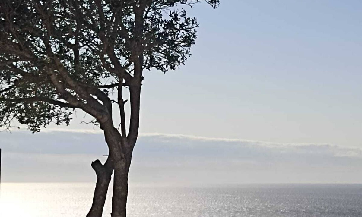 Veli Losinj Apartment | Spacious bedroom studio in gorgeous Veli Lošinj with AC