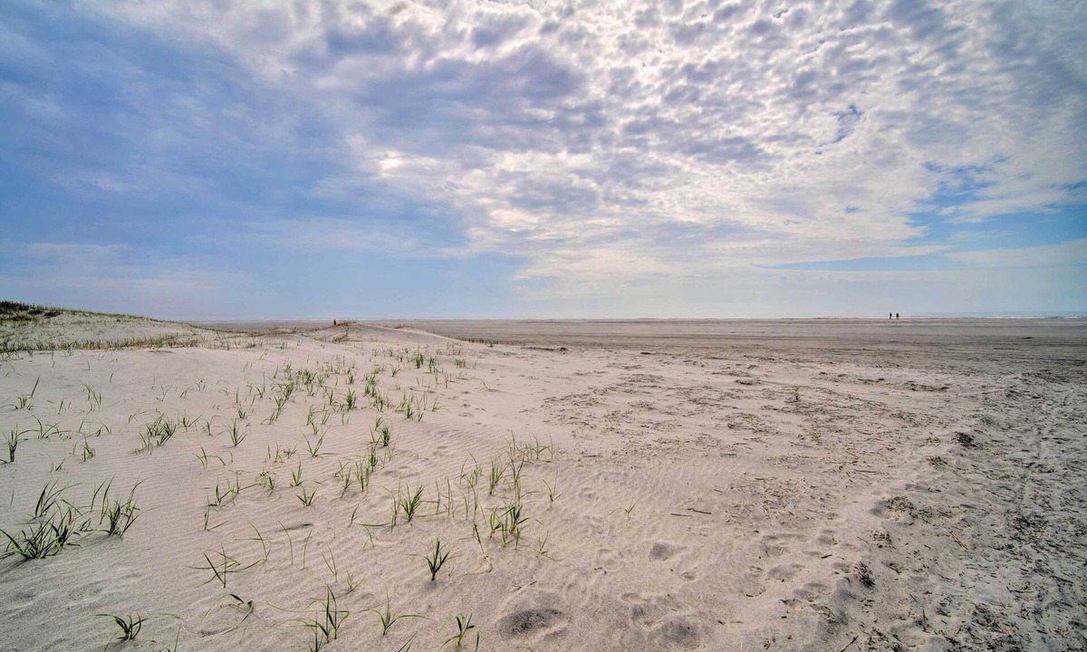 Southend Cottage | Spacious Brigantine Home ~ 1 Block to Beach!