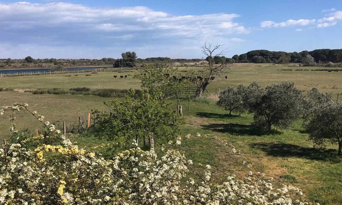 Le Grau-Du-Roi Other | Spacious duplex in a farmhouse, in a protected natural area near the beaches