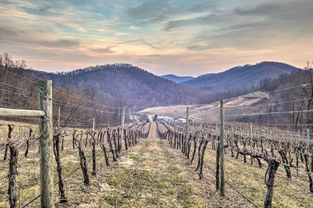 Faber House | Spacious Faber Home w/Yard, Steps to Winery!