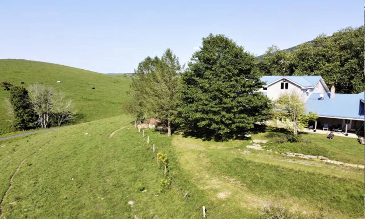 Simmonsville House | Spacious Farm w Mountain Views - 30min to Blacksburg