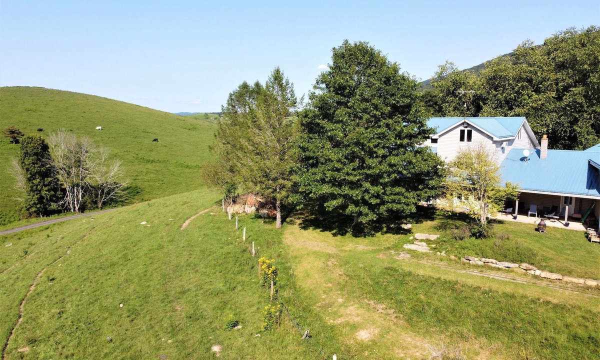 Simmonsville House | Spacious Farm with Mountain Views 30min to Bburg