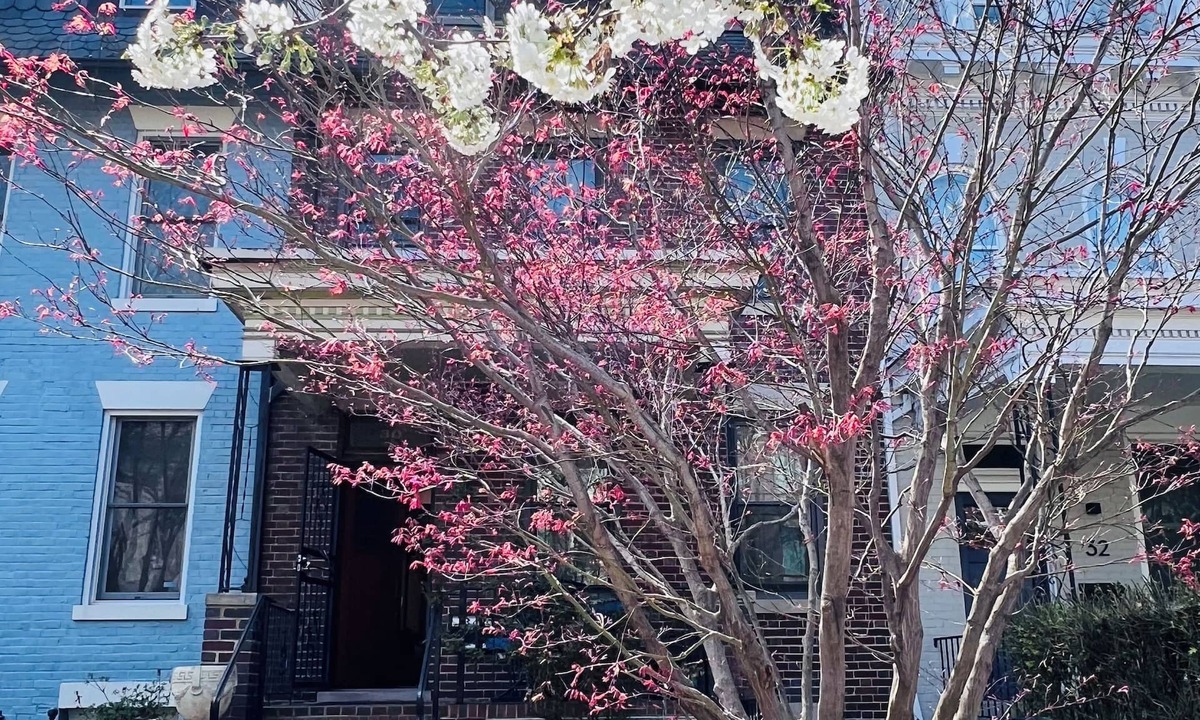 Bloomingdale House | Spacious four-bed, three-and a half- bath townhome in Washington DC.