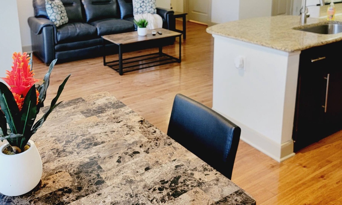 South Main Apartment | Spacious Pet Friendly 1BR Apt near Reliant NRG & Med Center