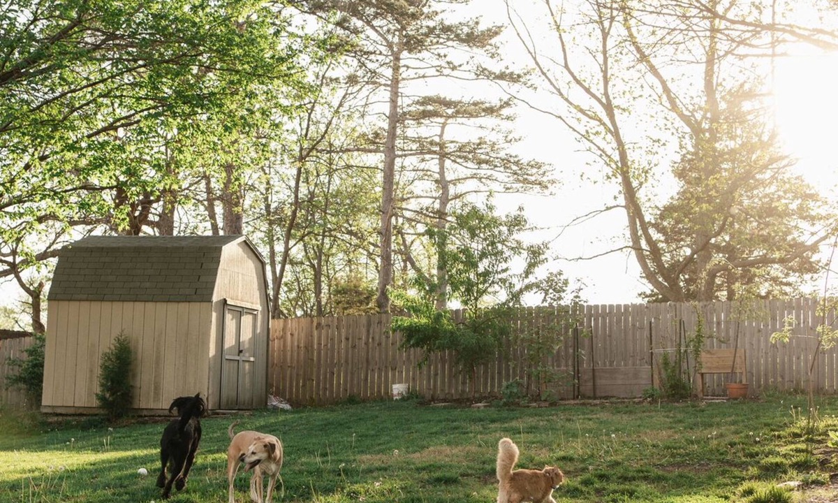 Merriam House | Spacious Shawnee Home - Fenced Yard - Pets Welcome - Sleeps 8