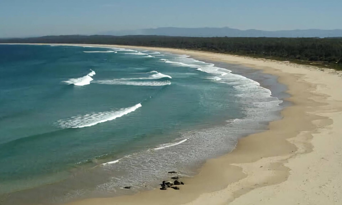 Surf Beach House | Spacious Surfside Unit Surf Beach