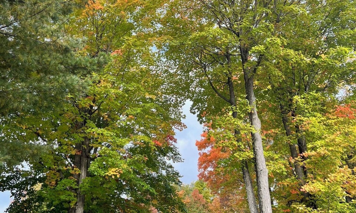 Central Frontenac Cottage | Spacious Year-Round Waterfront Cottage on Sharbot Lake
