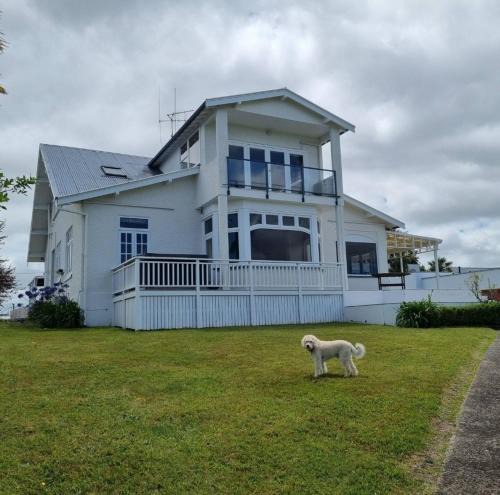 Frankton House | Spectacular Hamilton Lake Views