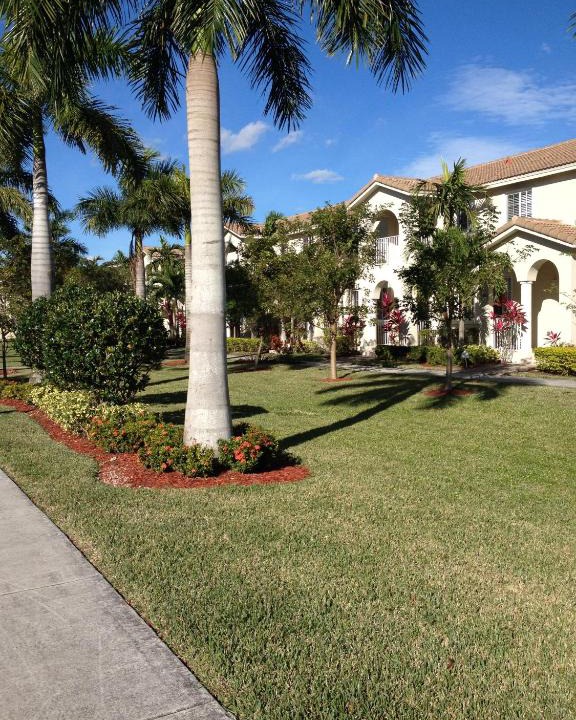 Naranja House | Speedway Blvd Townhouse