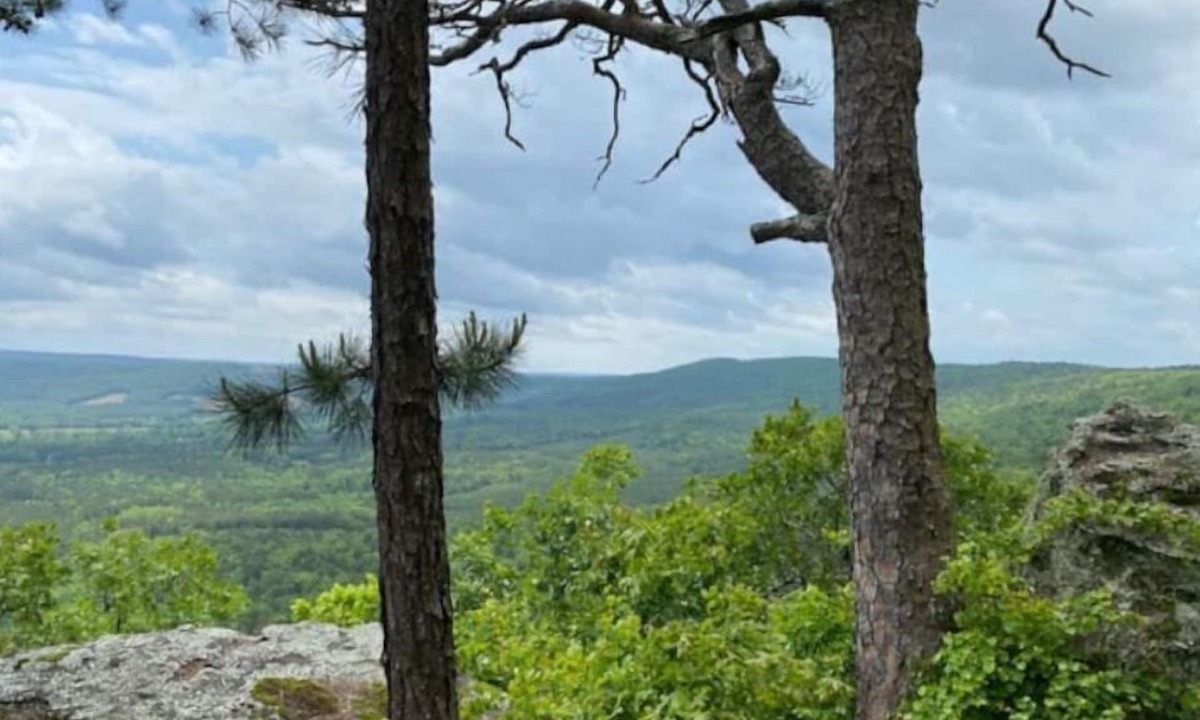 Morrilton House | Spend Spring at a Mountaintop Retreat
