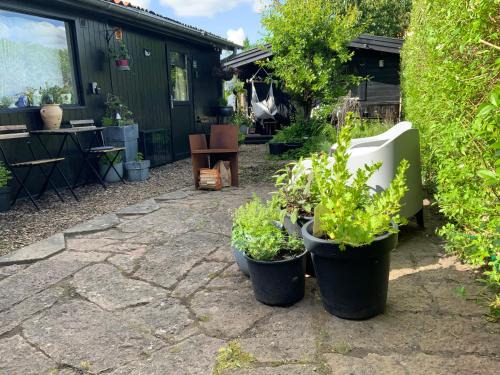 Guldborgsund Kommune House | Spiced Bed&Breakfast