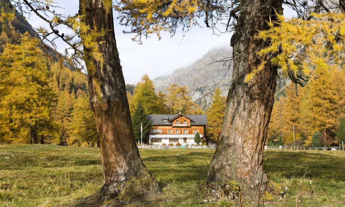 Bever Hostel | Spinas Gasthaus Val Bever - Hostel