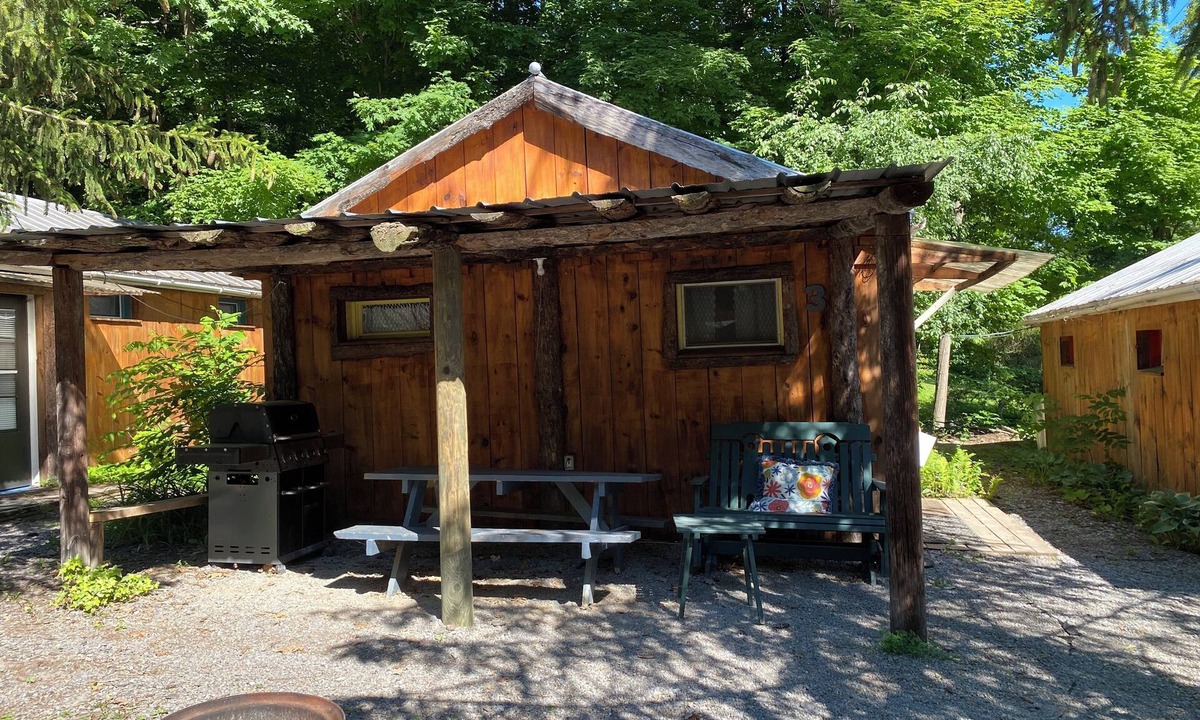 Trumansburg Cabin | Spotted Sandpiper - Cabin #3