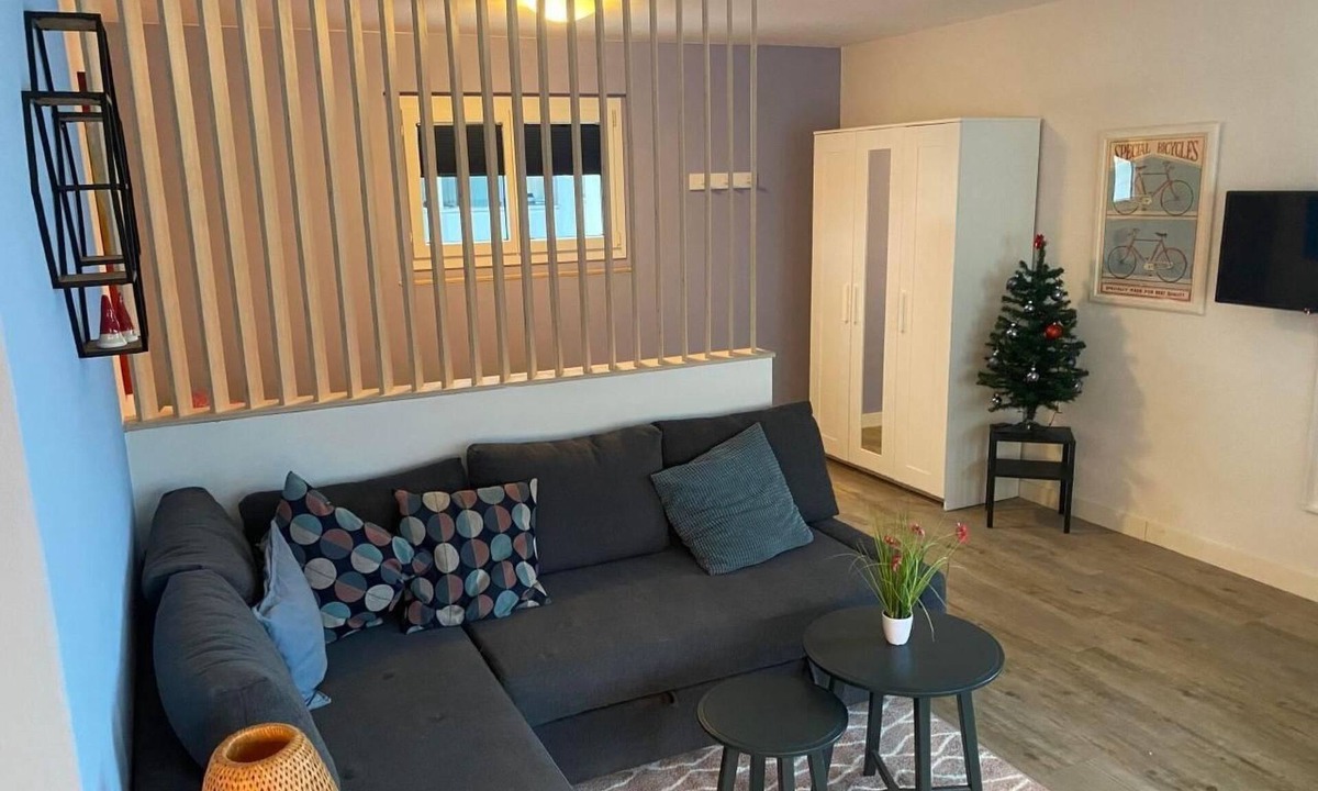 Willigen Apartment | Spring Inn Studio by Interhome