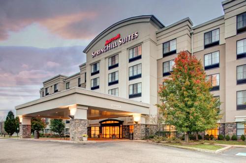 Wheeling Hotel | SpringHill Suites by Marriott Wheeling Triadelphia Area
