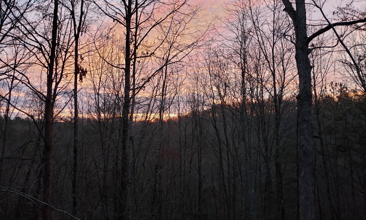 Copperhill Cabin | Squirrels Hideaway | Fire Pit | MTN Views