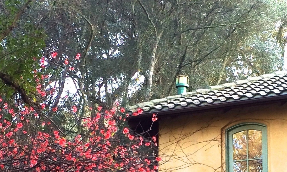 St. Helena House | ST. HELENA ROMANTIC TUSCAN VILLA