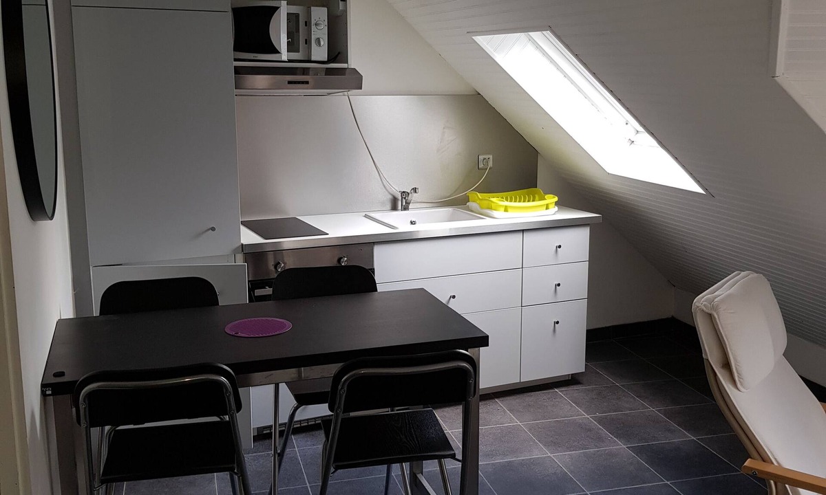 Vignec Apartment | St Lary-Vignec Nice little apartment ideally located