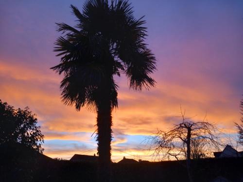 Ballon House | St Laurent