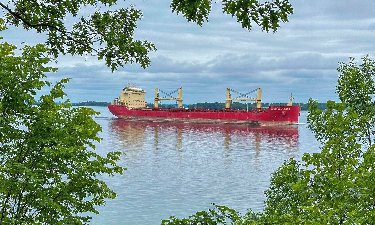 Clayton Apartment | St Lawrence River Cottage w/Panoramic Views!
