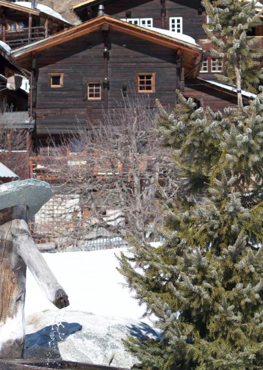Niederwald Ski Chalet | Stadel Ritz